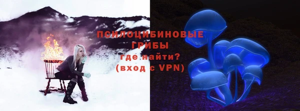 дурь Богданович