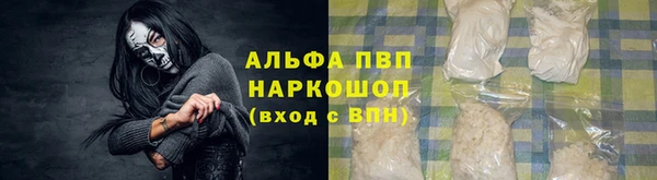 дурь Богданович