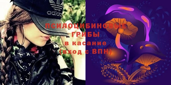 mix Богородицк