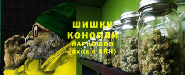 mix Богородицк
