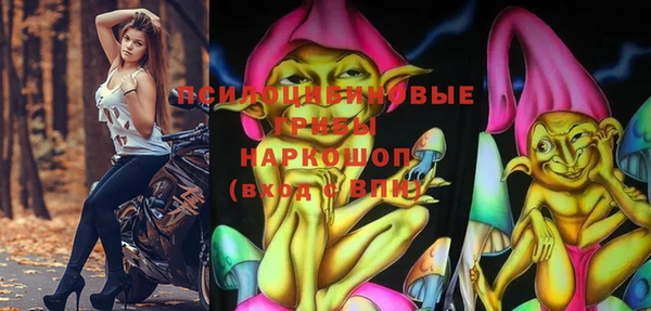 mix Богородицк