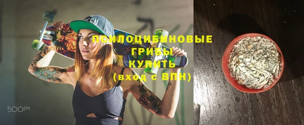 дурь Богданович